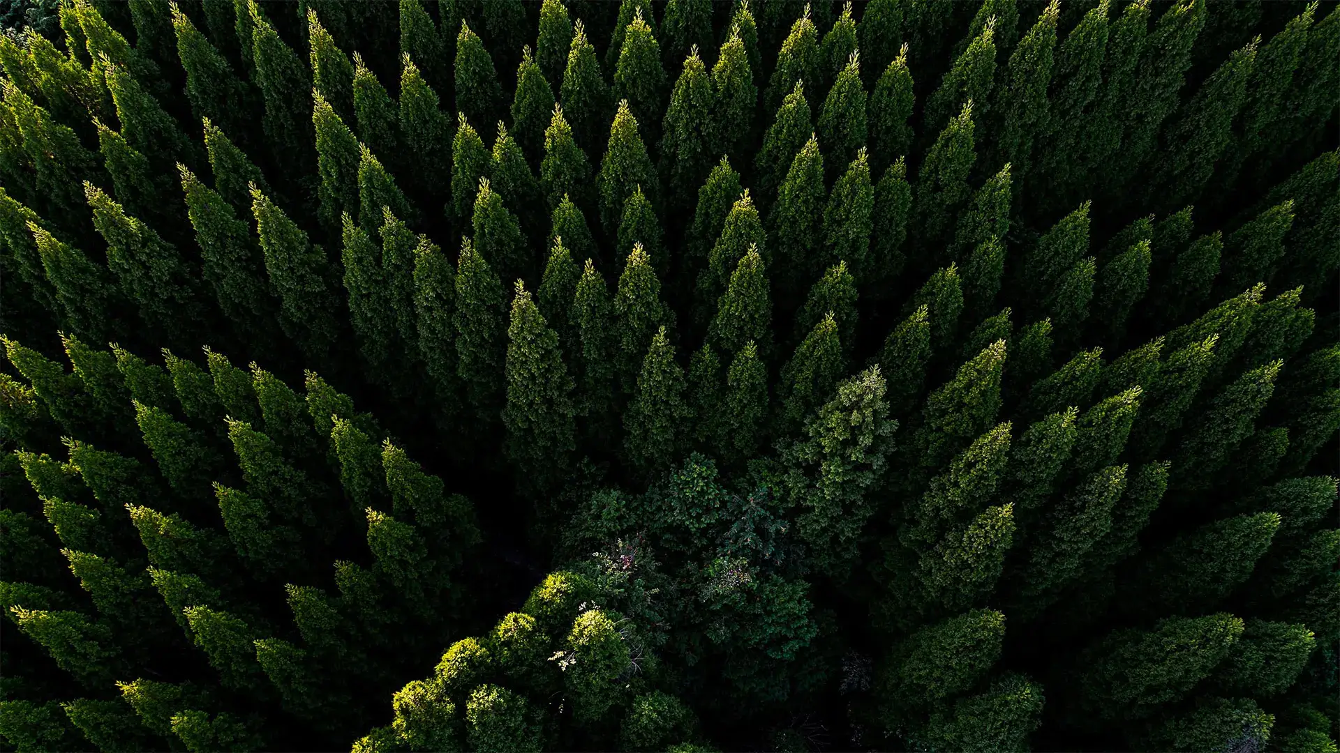 教育部司长：提高学前教育普惠性资源覆盖率，解决入园难问题资讯快读热文推荐活动会议